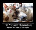 /album/fotogaleria/fotosgraciosasgatoperroamigos-jpg/